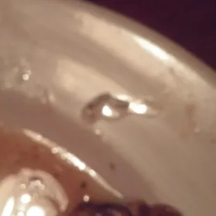 The piece if metal I found (by choking on) in my scallops