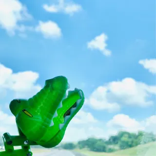 George The Croc I.