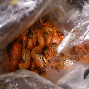 Crawdaddies!