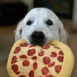 Good pizza