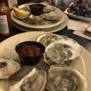 Farmed oysters