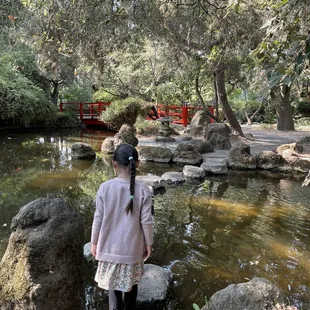 Japanese Garden