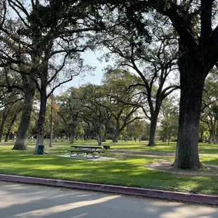 Shaded picnic tables across the zoo