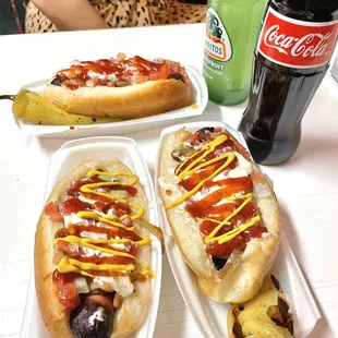 Soñoran Dog