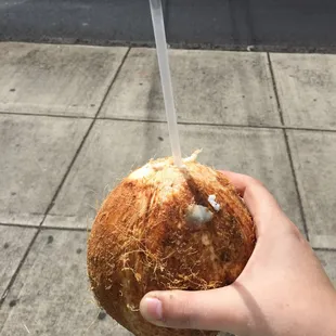 Iced cold coconut for $3