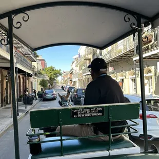 Willy and his carriage with Brown Sugar the mule