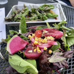 Watermelon Radish Salad