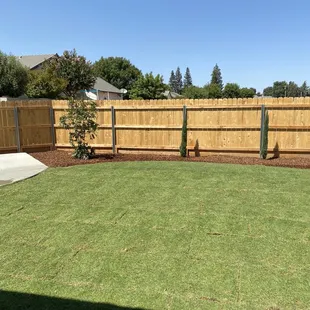 Crape myrtle (white natchez) and tiny towers