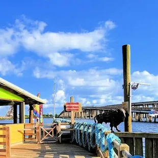 The Deck sits on beautiful Lake Maurepas.