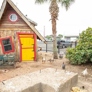 Our animal enclosure features a Hansel &amp; Gretel style chicken coop.