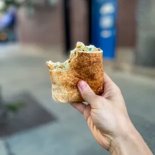 Falafel Wrap