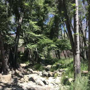 Middle lion campground