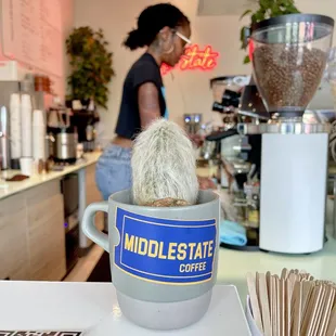 Middle State Coffee