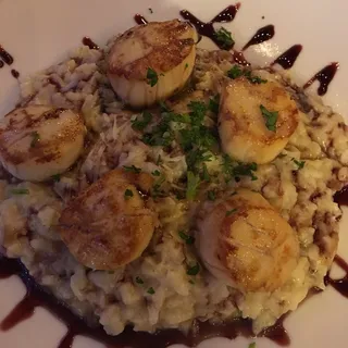 Scallops