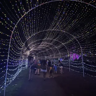 Tunnel of Lights