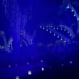 Lights