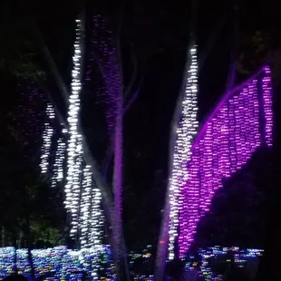 Hanging lights!!!