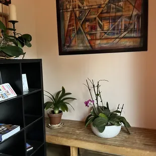 a wooden bench with potted plants