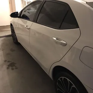 Looks like nothing ever happened