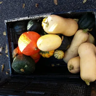 a basket of squash and pumpkins
