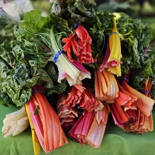 rainbow chards