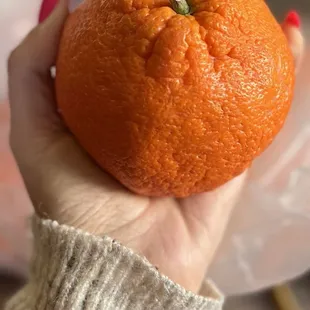 Shasta Mandarin from J &amp; J Ramos Farms, BEST mandarin I've ever had, seedless, incredibly sweet, large &amp; juicy!!!