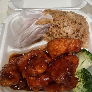 General Chicken Combination Platter