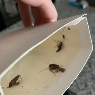 After only a few days