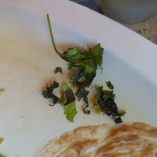 That's the rotting cilantro they put one my tacos. Yes, that part that looks black is/was cilantro. So gross.