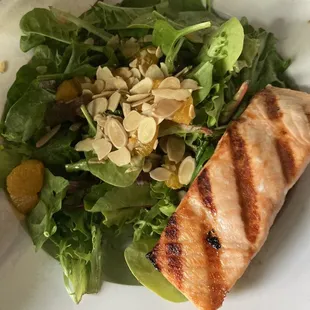 Salmon salad
