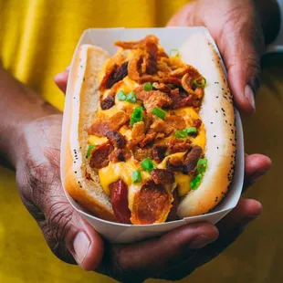 a person holding a hot dog