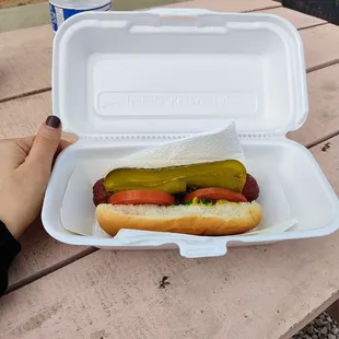 Get the big daddy, it's the jumbo dog, HUGE! They do it up right with the celery salt, tomatoes, onions, sport peppers and pickle.