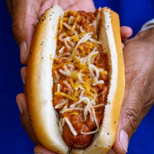 Chili Cheese Dog