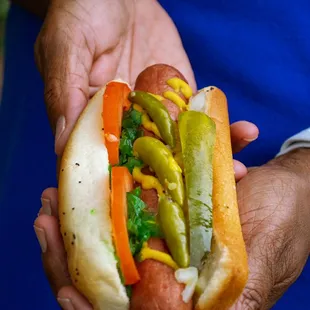 Chicago Dog