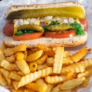 Chicago Style Regular Hot Dog