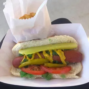 Chicago Dog all the way w/fries