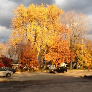 Fall sky