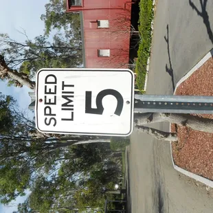 Camp speed limit!  Remember--there's small children and pets!