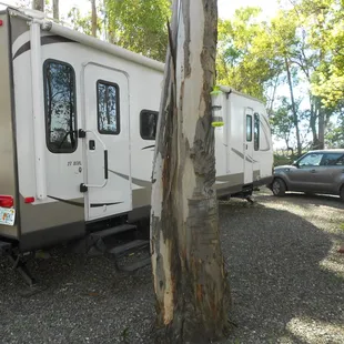 My rather long 31' Jayco travel trailer fit nicely into my pull through spot