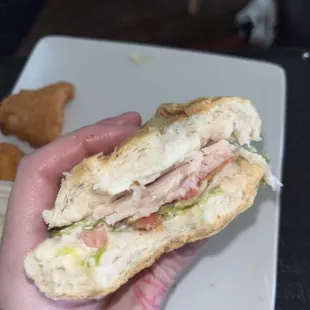 Turkey Sub