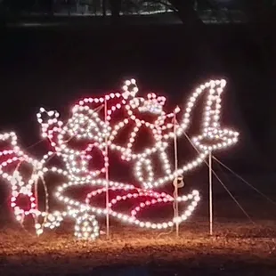 Santa in an airplane.