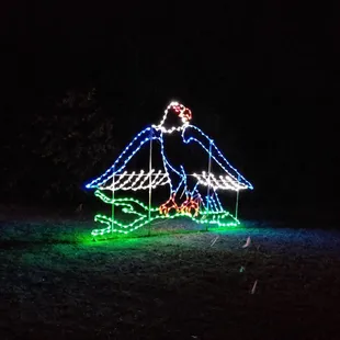 This is my favorite night time activity in December!