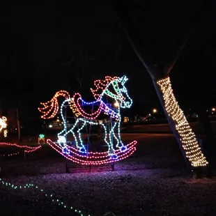 Best part of my birthday was driving through the lights!