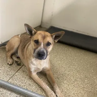 Myrtle is such a good girl!