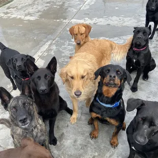 Daycare is the best way to spend a day with friends!