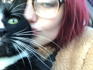 College Hill Animal Hospital