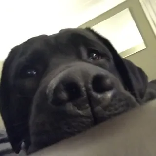 J R.