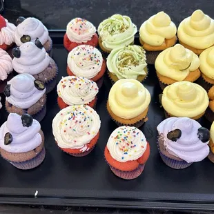 Cupcakes ( raspberry, blueberry, strawberry, lemon, pistachio)