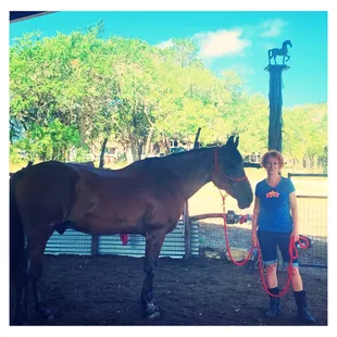 Genevieve and Sumo during our natural horsemanship lesson last weekend.