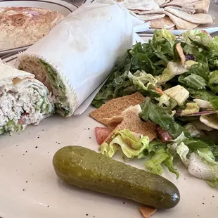 Chicken Gyro with Fattoush Salad